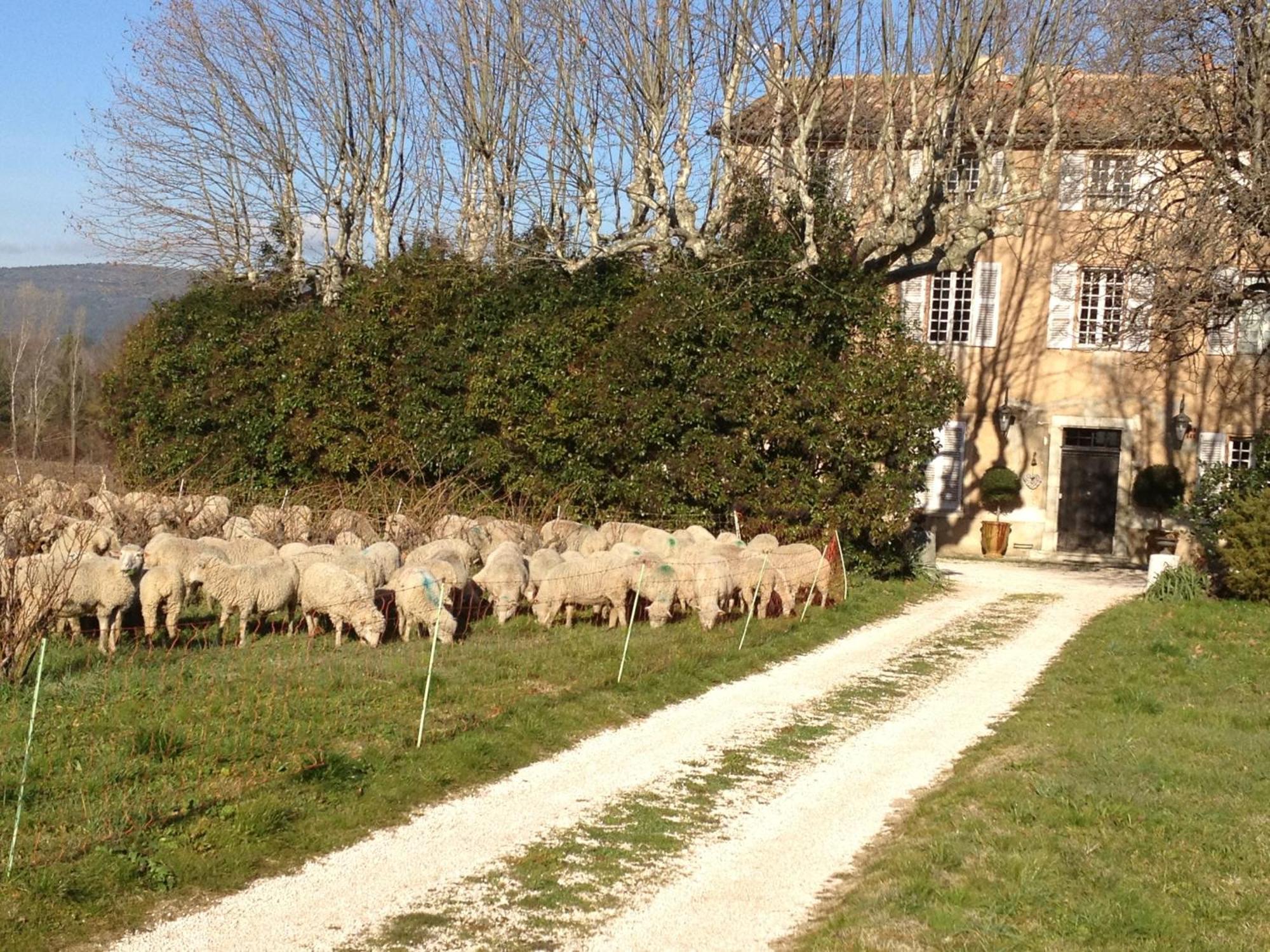בריניול B&B Domaine Le Clos Du Pavillon מראה חיצוני תמונה