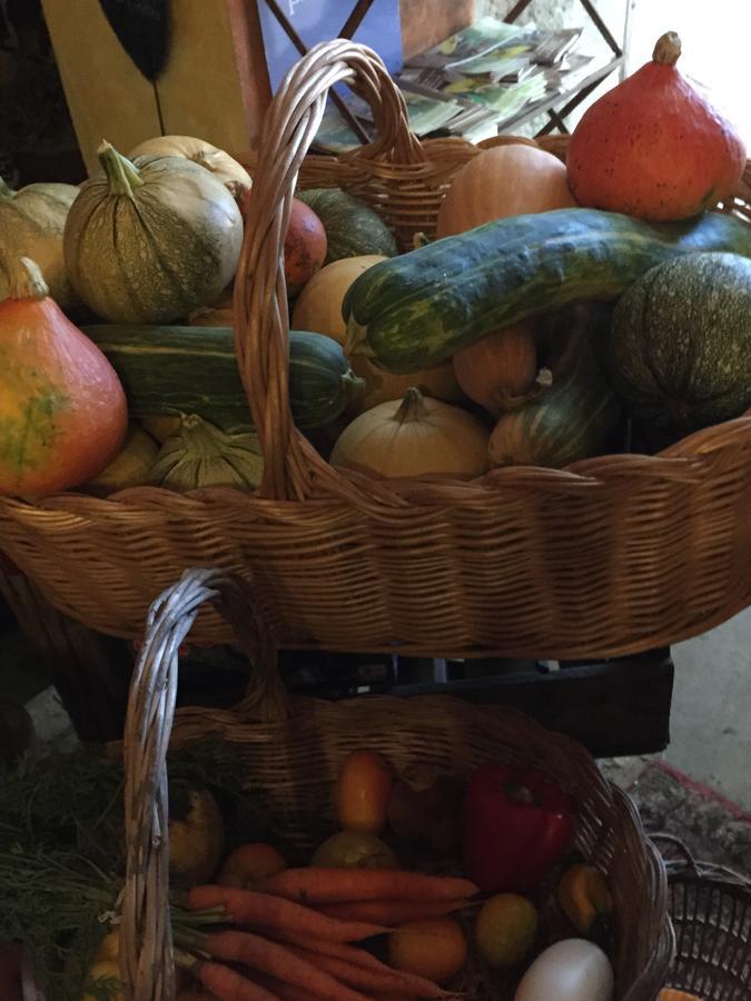 בריניול B&B Domaine Le Clos Du Pavillon מראה חיצוני תמונה
